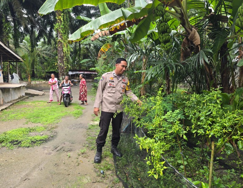 Bhabinkamtibmas Seberida Sambangi Warga Budidaya Cabai