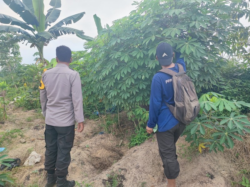 Dukung Program Nasional, Bhabinkamtibmas Seberida Gencarkan Pertanian Rumah Tangga