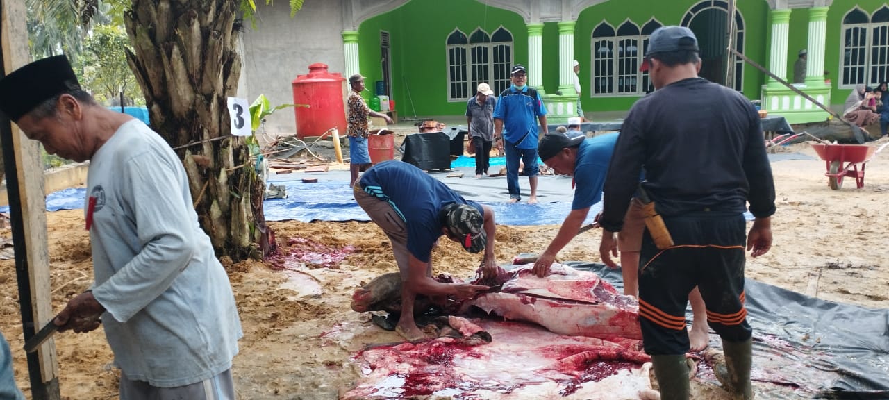Jumlah Hewan Kurban di Mesjid Ar-Rahman dan Mesjid Al-Muhajirin Meningkat