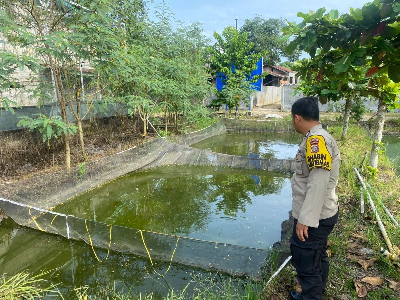 Bhabinkamtibmas Payarumbai Monitoring Budidaya Lele Milik Warga