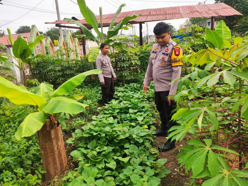 Desa Seberida Jadi Percontohan: Polsek Batang Gansal Tinjau Pengembangan Pekarangan Bergizi