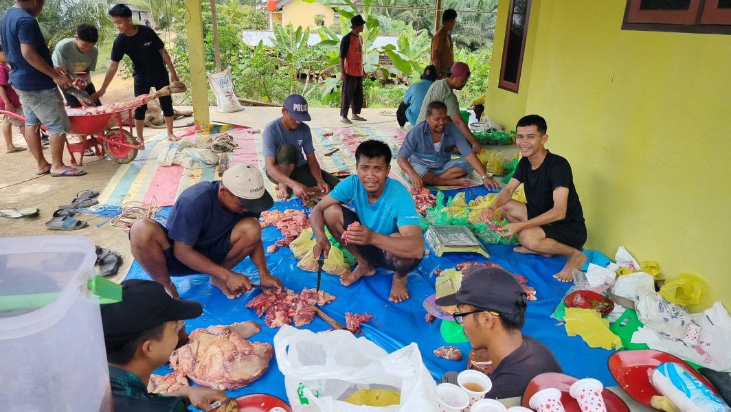 PONPES Roudlotul Manshurin Kurban 5 Ekor Sapi DI Idul Adha 1446 H