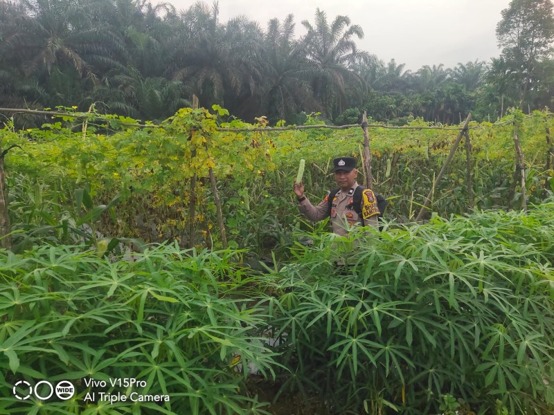 Polisi Turun ke Kebun: Kisah Bhabinkamtibmas Seberida Dampingi Warga Tanam Pare Demi Ketahanan Pangan