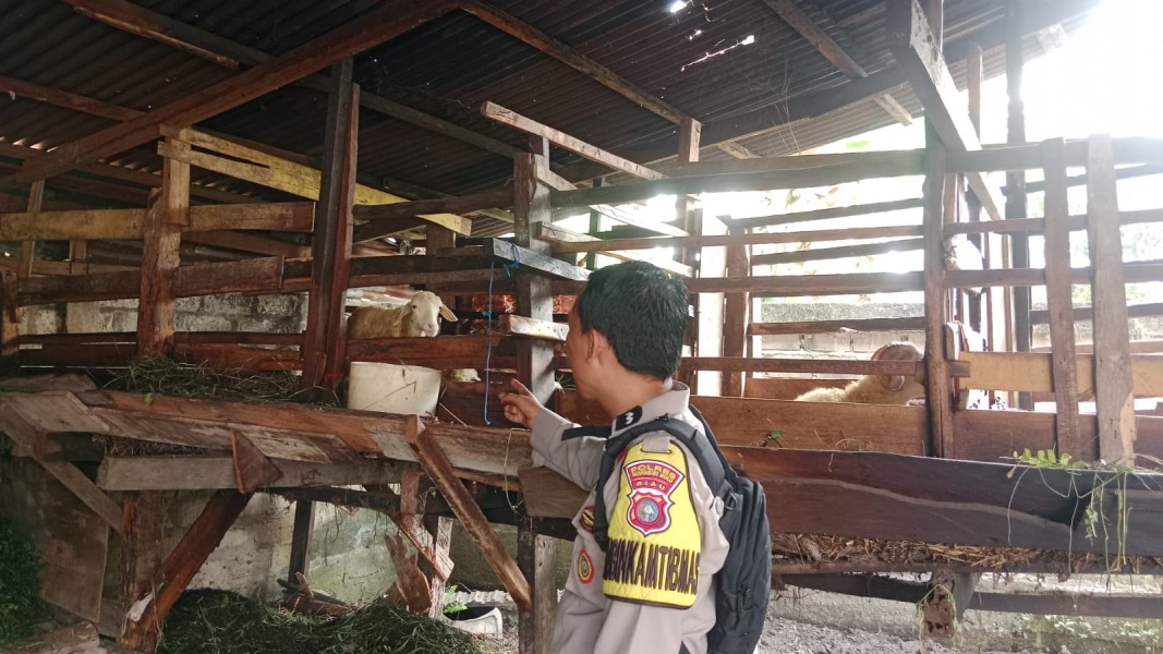 Ketahanan Pangan dari Desa, Polisi Beri Pendampingan kepada Peternak Kambing