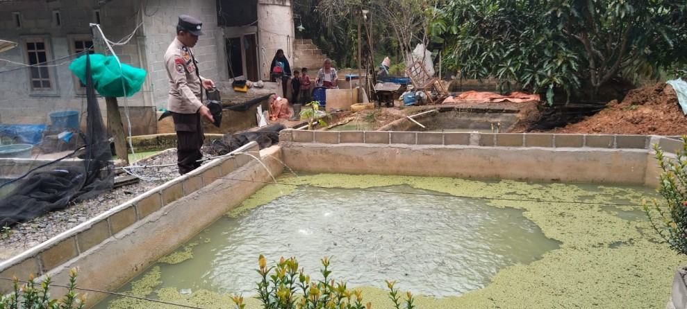 Dari Samping Rumah di Seberida, 1.500 Ikan Patin Jadi Bukti Nyata Asta Cita Ketahanan Pangan