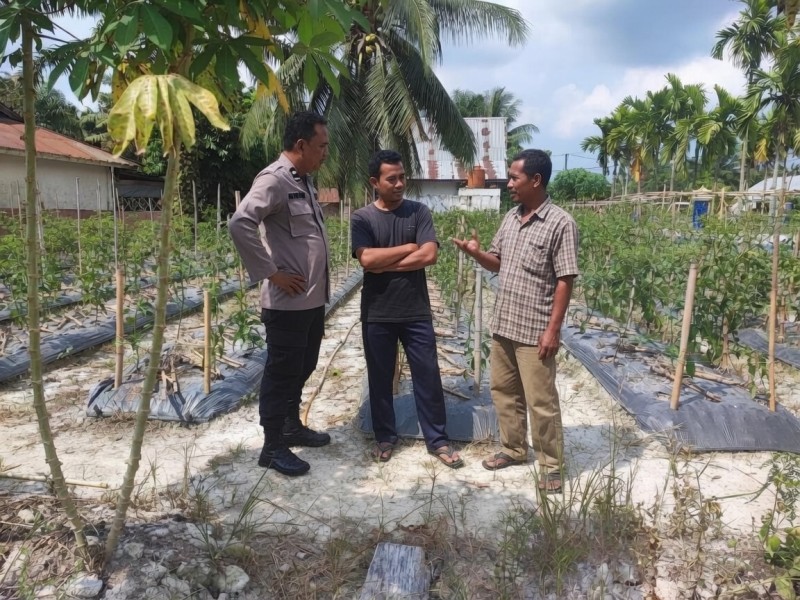 Bhabinkamtibmas Polsek Seberida Ajak Warga Bukit Meranti Manfaatkan Pekarangan untuk Dukung Ketahanan Pangan Nasional