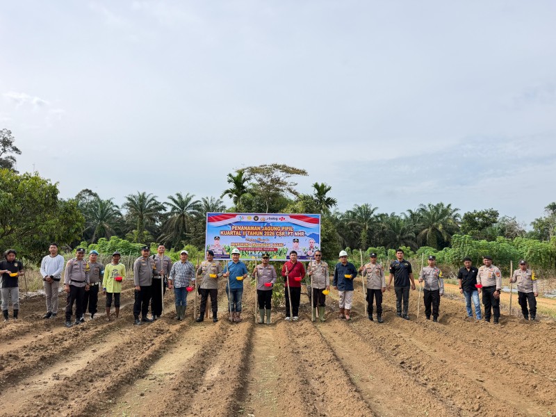 Dukung Swasembada Pangan, Polsek Batang Gansal Tanam Jagung Pipil di Lahan 2 Hektare