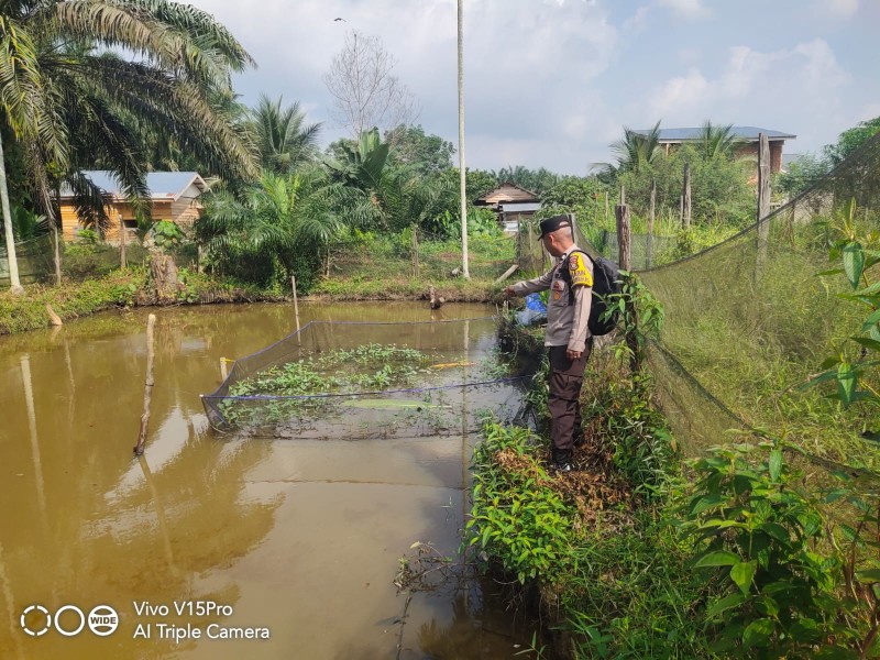 Aiptu Anda Jas Pantau Budidaya Ikan Nila di Pekarangan Warga Titian Resak
