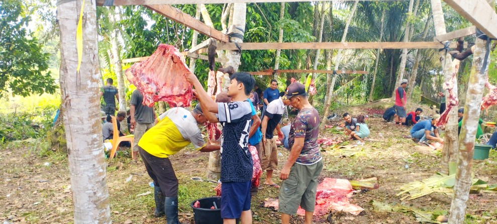 Kebersamaan dan Kepedulian Terlihat di Momen Kurban Masjid Al-Istiqomah Belilas