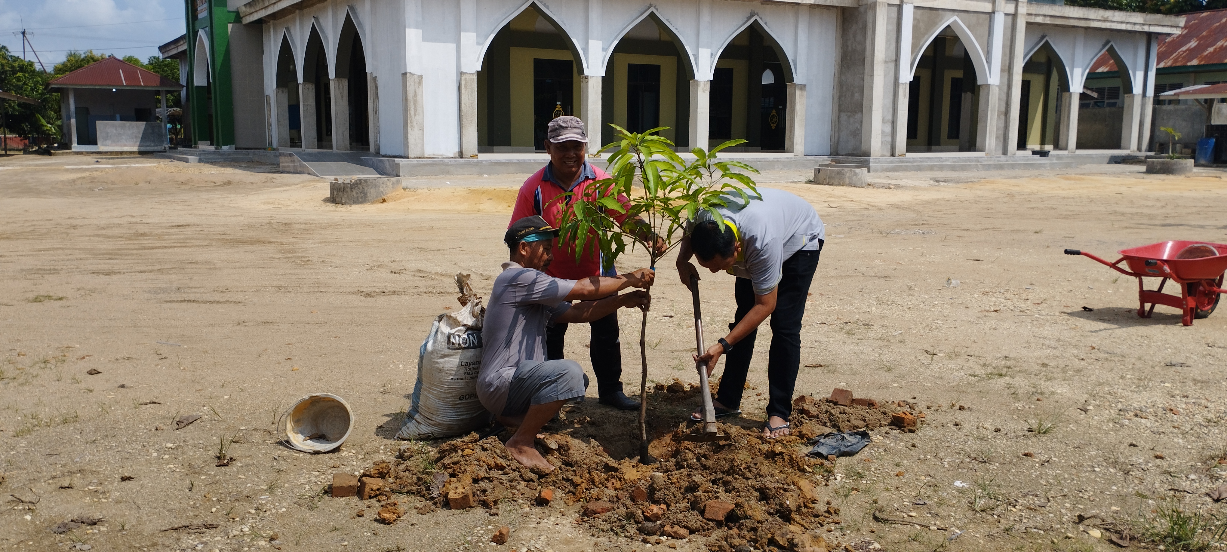 Manfaatkan Lahan Pekarangan Kosong dengan Tanaman Produktif