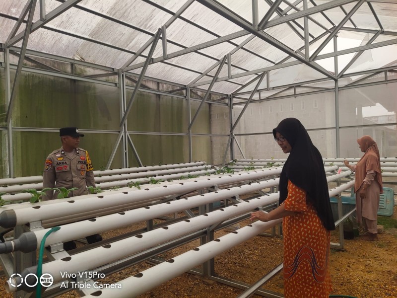Polisi Dorong Ketahanan Pangan dari Pekarangan, Hidroponik Sawi Jadi Andalan Warga Titian Resak