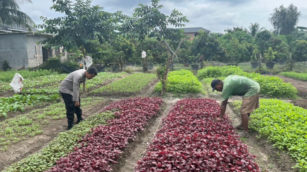 Pekarangan Hijau Jadi Lumbung Gizi, Bhabinkamtibmas Beligan Ajak Warga Tanam Sawi dan Bayam