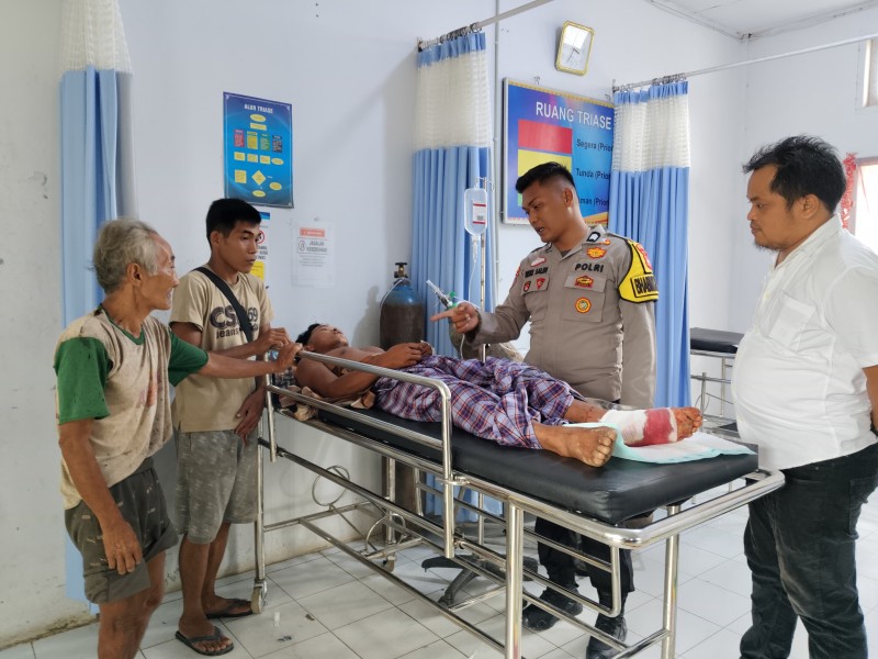Warga Rantau Langsat Diserang Harimau Saat Mencari Damar di Hutan Batang Gansal