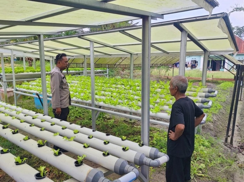 Sambang Warga Desa Bukit Meranti, Bhabinkamtibmas Polsek Seberida Dorong Pertanian Mandiri dan Ketahanan Pangan