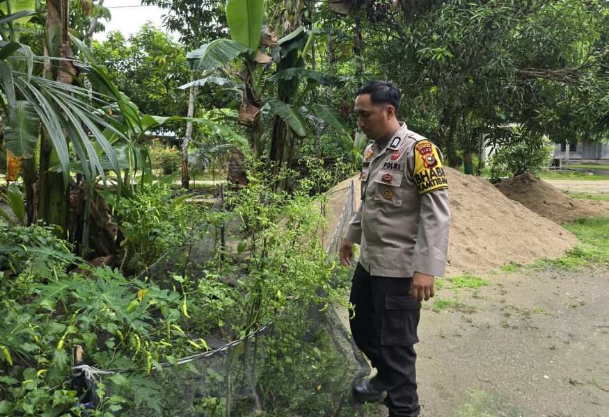 Pekarangan Tak Lagi Sekadar Halaman, Bhabinkamtibmas Seberida Dorong Warga Tanam Cabai Setan