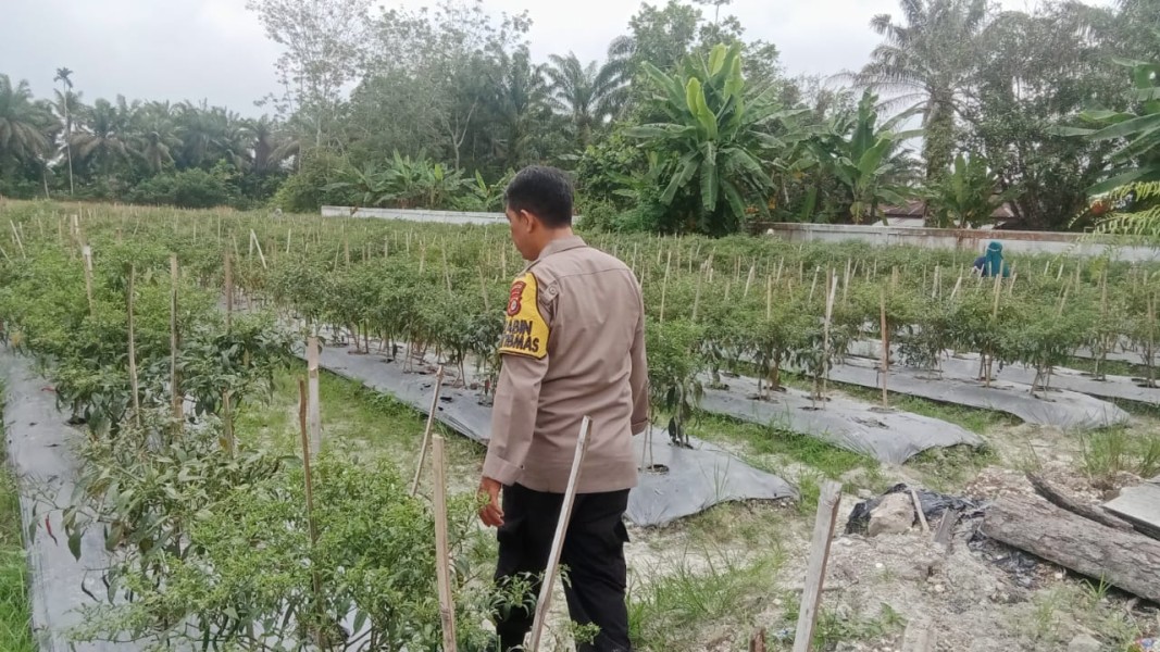 Bhabinkamtibmas Desa Beligan Aktif Dukung Ketahanan Pangan Nasional melalui Pemanfaatan Pekarangan Warga