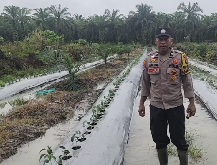 Bhabinkamtibmas Desa Titian Resak Aktif Dorong Ketahanan Pangan Melalui Budidaya Cabe