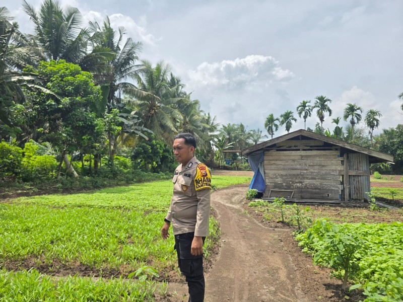 Dukung Ketahanan Pangan Nasional, Bhabinkamtibmas Polsek Seberida Ajak Warga Manfaatkan Pekarangan Tanam Kangkung