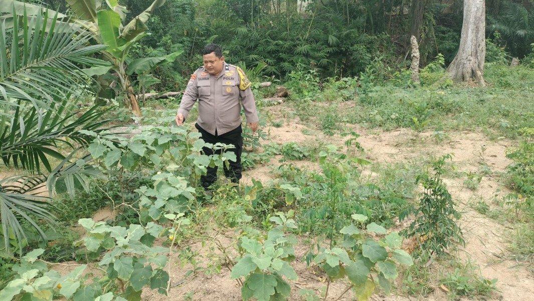 Bukan Sekadar Menanam Terong, Bhabinkamtibmas Kelesa Ajak Warga Perkuat Ketahanan Pangan dari Pekarangan