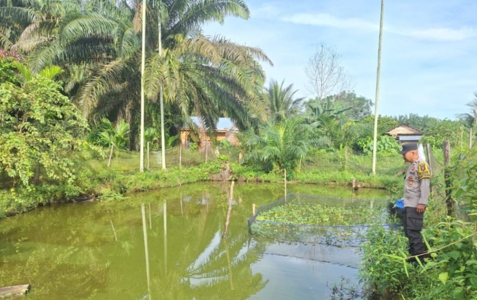 Dukung Ketahanan Pangan Nasional, Bhabinkamtibmas Polsek Seberida Sambangi Peternak Ikan Nila di Titian Resak