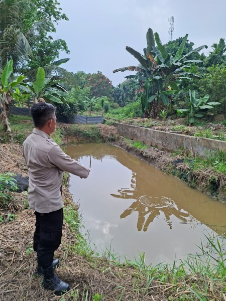Bukan Sekadar Kolam Ikan, Pekarangan Warga Sungai Akar Disulap Jadi Lumbung Pangan