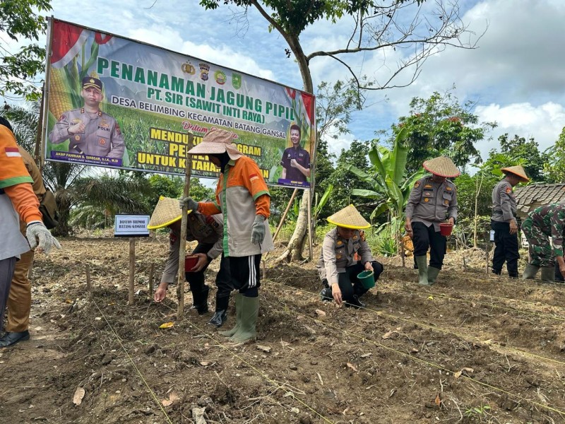 Gandeng Polres Inhu, PT SIR Salurkan CSR dengan Menanam Jagung