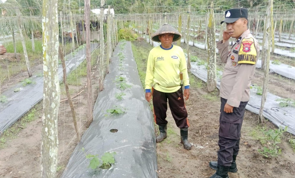 Bhabinkamtibmas Polsek Seberida Dorong Pemanfaatan Pekarangan Produktif Demi Ketahanan Pangan Nasional