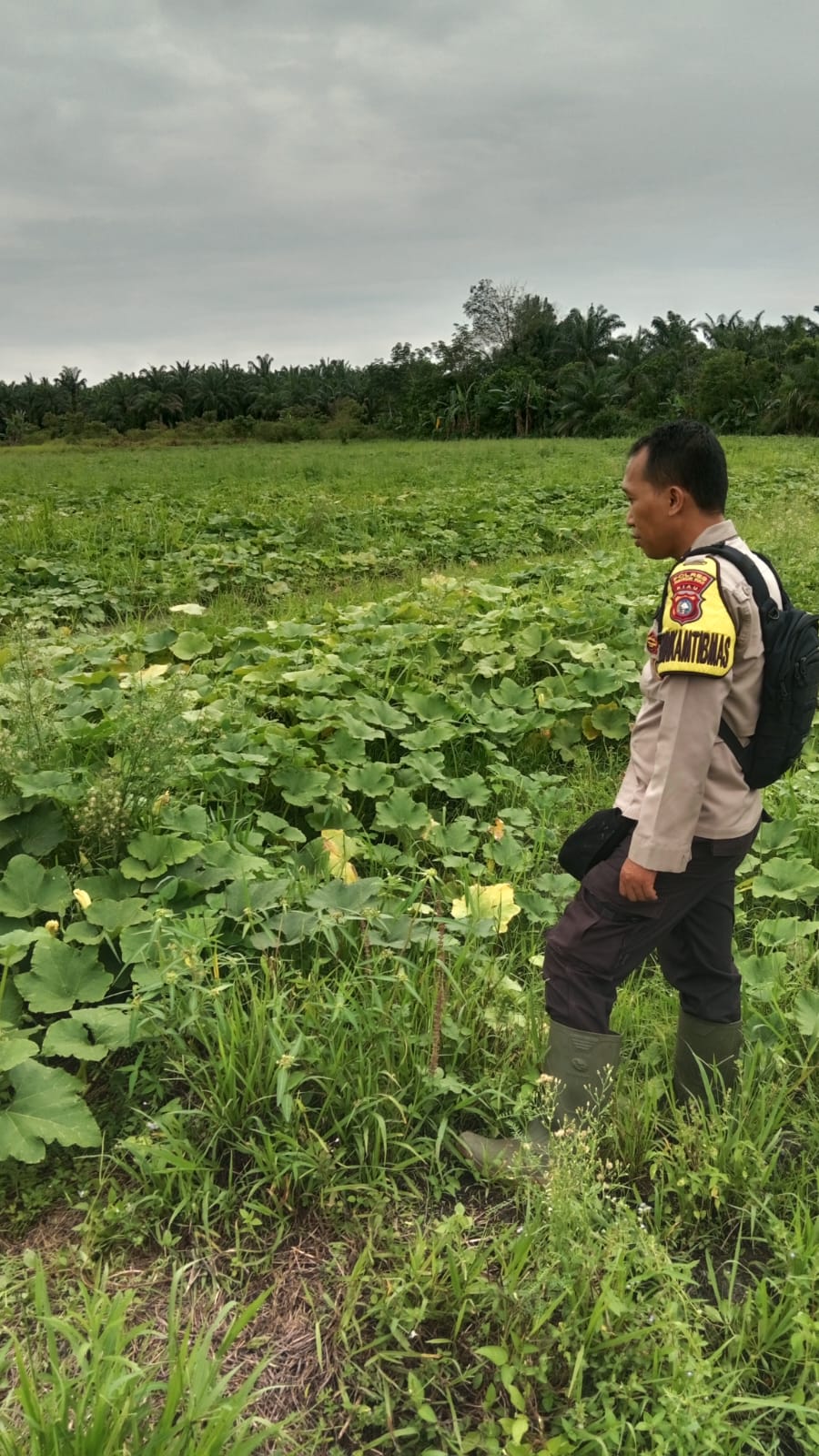 AIPDA Ardius Edukasi Warga Soal Pemanfaatan Lahan Pekarangan Produktif