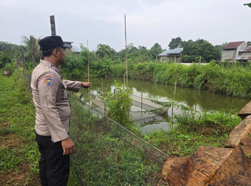 Polsek Seberida Perkuat Ketahanan Pangan Lewat Pendampingan Budidaya Ikan Warga