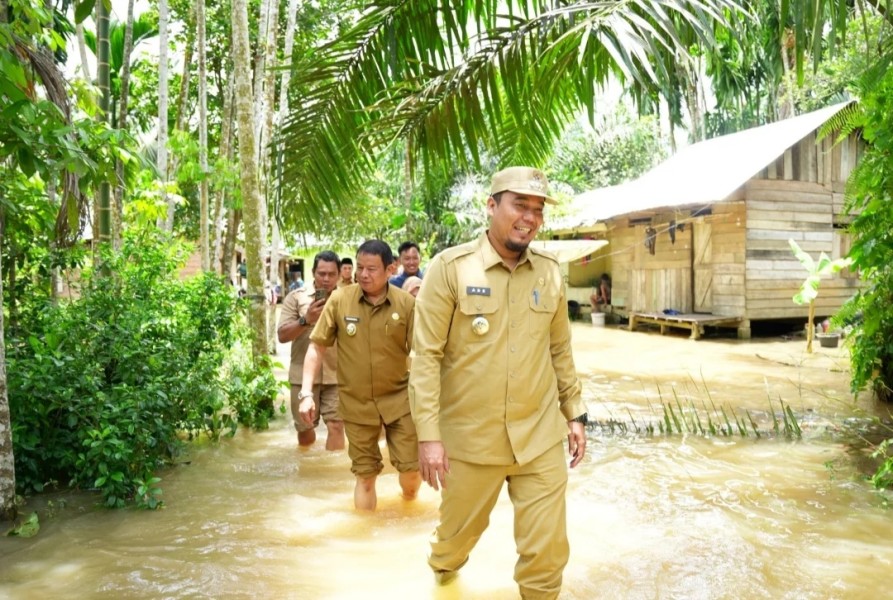 Bupati dan Wabup Inhu Tinjau Langsung dan Salurkan Bantuan WargaTerdampak Banjir di Rantau Mapesai
