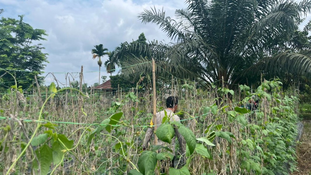 Dari Halaman Rumah Jadi Lumbung, Warga Beligan Buktikan Ketahanan Pangan Dimulai dari Langkah Kecil