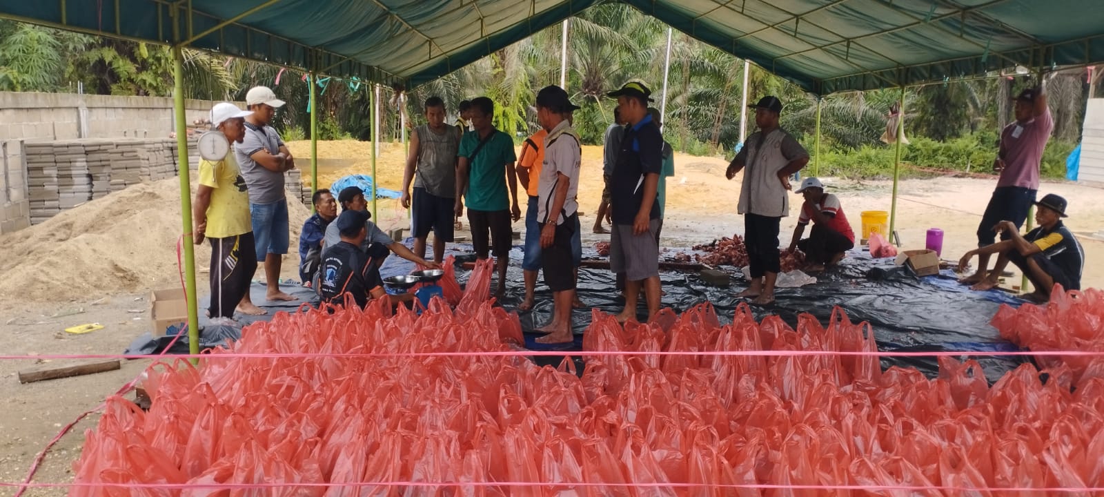 Proses Penyembelihan Hewan Kurban di Beberapa Mesjid dan Musala di Kecamatan Seberida Terpantau Lancar