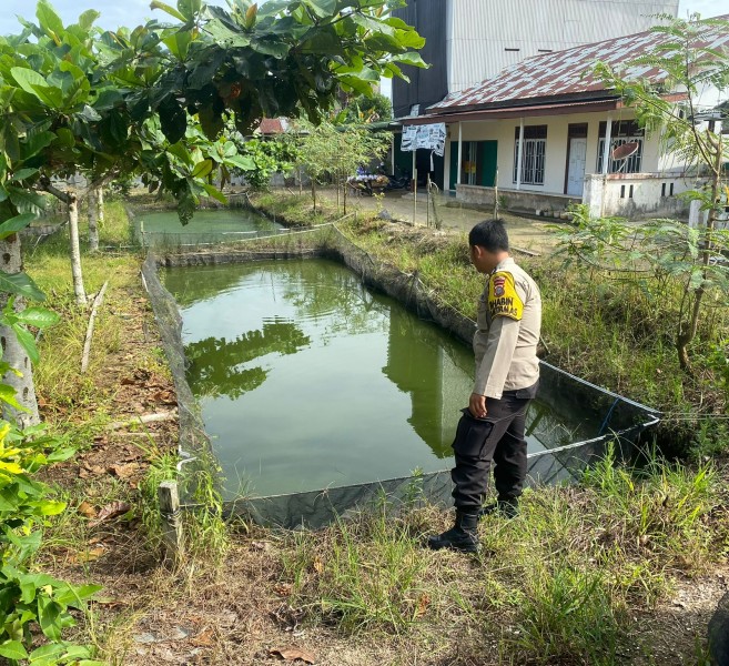 Ketahanan Pangan Berbasis Rumah Tangga, Bhabinkamtibmas Sambangi Kolam Ikan Warga