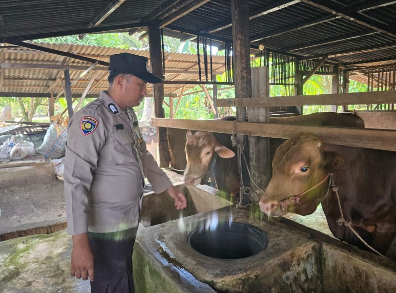 Bhabinkamtibmas Desa Petala Bumi Dorong Ketahanan Pangan Nasional Melalui Sambang Peternak Sapi
