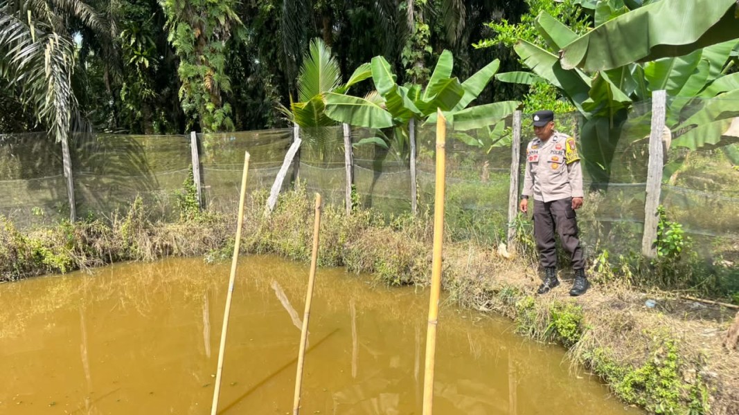 Kolam Patin di Pekarangan Jadi Sasaran Bhabinkamtibmas Seberida dalam Program Pangan Nasional