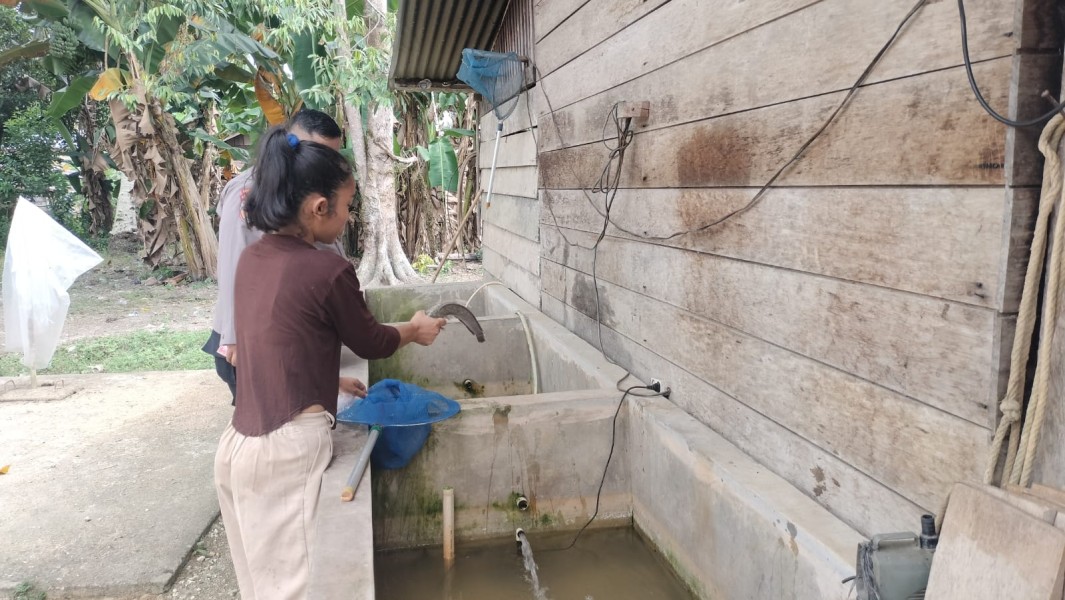 Dari Pekarangan ke Ketahanan Pangan, Bhabinkamtibmas Kelesa Dorong Warga Kembangkan Kemangi, Terong dan Budidaya Lele