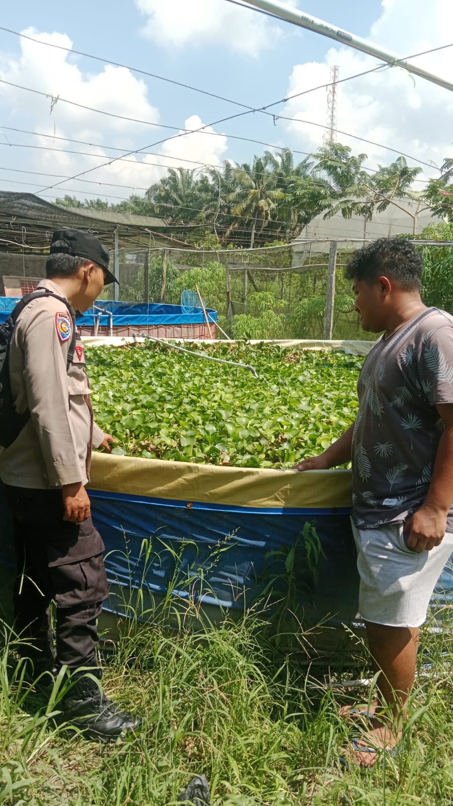 Bhabinkamtibmas Desa Seresam Ajak Warga Optimalkan Budidaya Ikan Nila