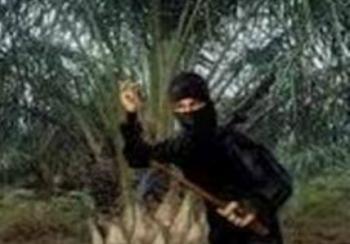 Masyarakat Mengeluh Para Ninja Sawit Semangkin Meraja Lela Di Belilas