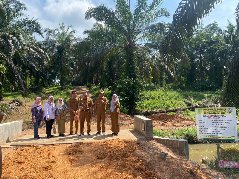 Camat Seberida, Monev Hasil Pembangunan di 2 Desa