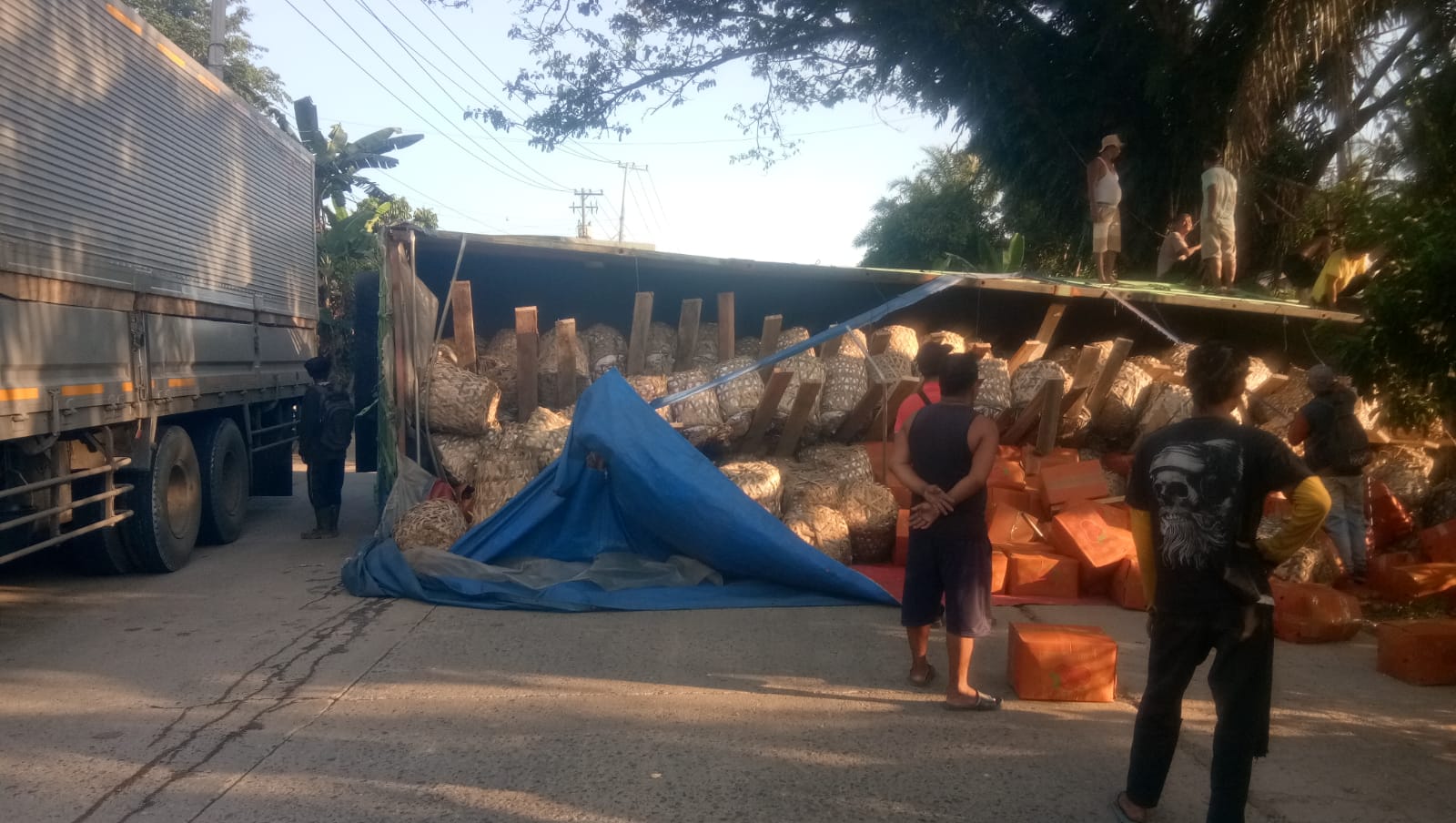 Mobil Truk  Pengangkut Buah Jeruk Terguling Melintang Dijalan Lintas Sebrida Inhu