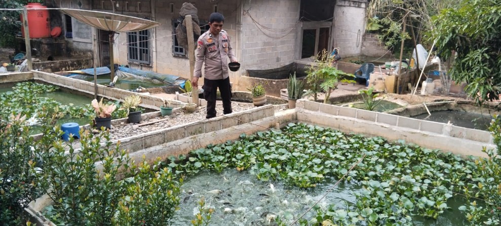 Aiptu H. Sianturi Tinjau Pekarangan Pangan Bergizi Milik Warga Desa Seberida