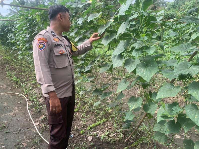 Polsek Batang Gansal Tinjau Pekarangan Bergizi di Desa Seberida, Dukung Ketahanan Pangan Keluarga