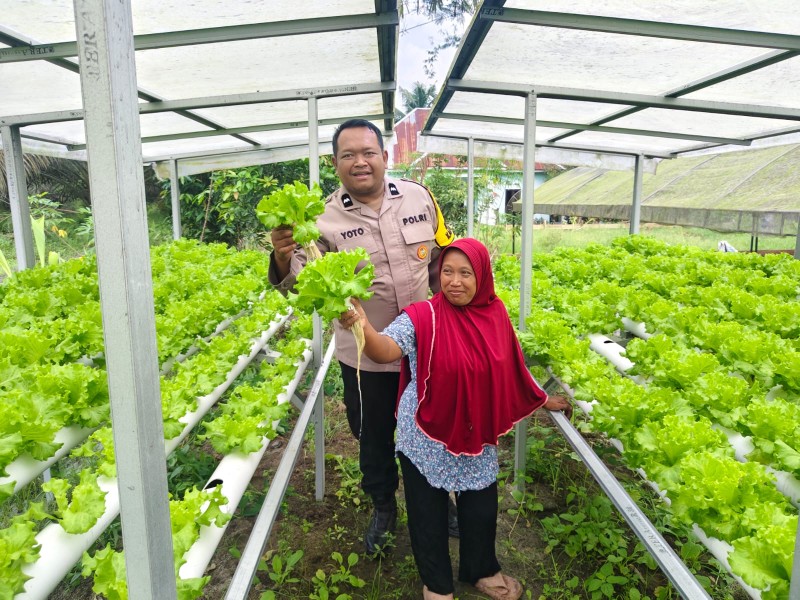 Pemanfaatan Pekarangan Produktif, Upaya Warga Pangkalan Kasai Jaga Ketahanan Pangan