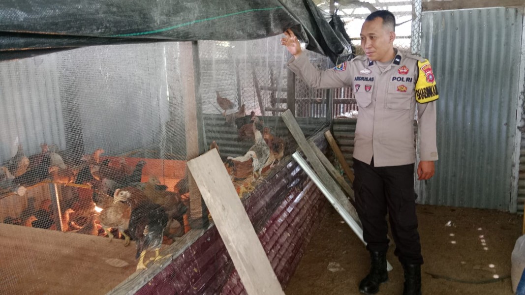 Polri Hadir di Tengah Peternak, Dukung Ketahanan Pangan Nasional dari Desa