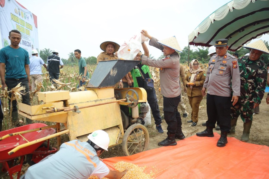 Panen Perdana Jagung Pipil Polres Inhu, Wakapolres: Hasil Cucuran Keringat, Ketekunan, dan Semangat Swasembada Pangan