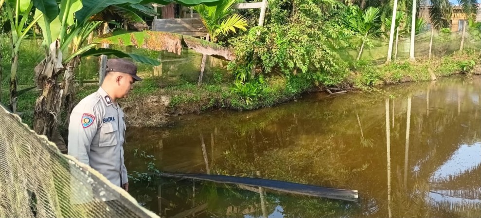 Bhabinkamtibmas Desa Payarumbai Dorong Ketahanan Pangan Lewat Budidaya Kolam Patin Warga
