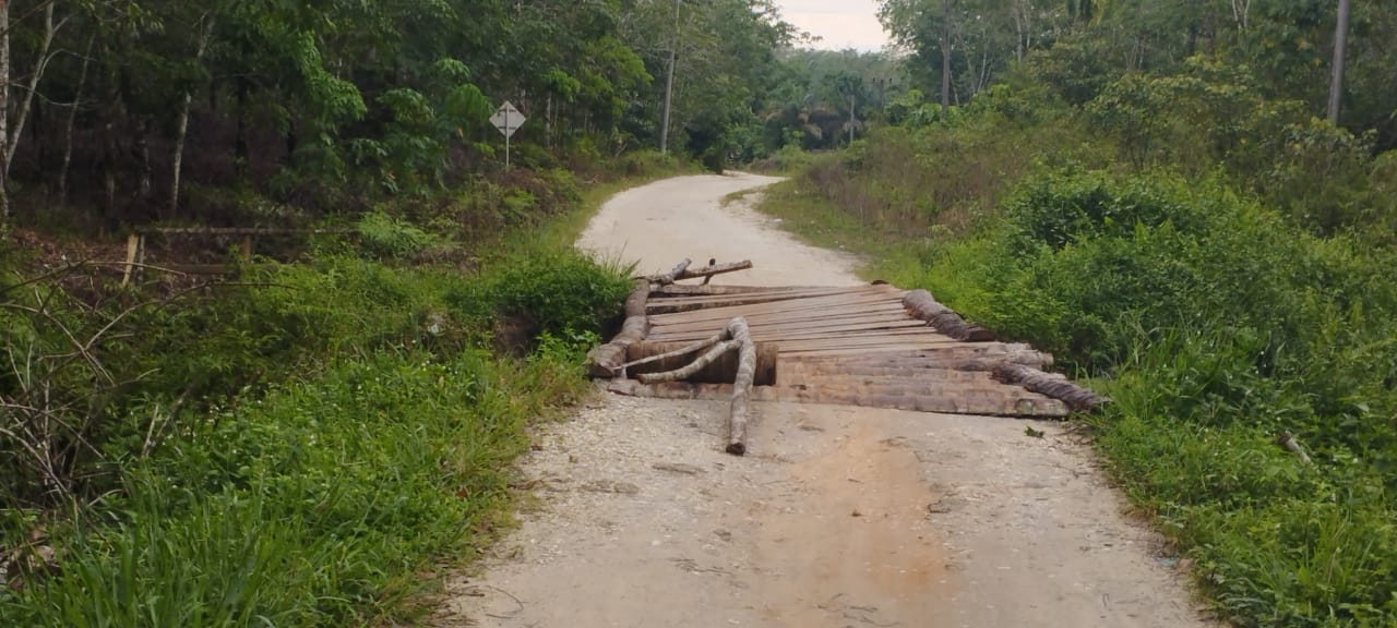 Jembatan Darurat Desa Danau Tiga Inhu, Nyaris Ambruk Warga Diminta Hati-hati