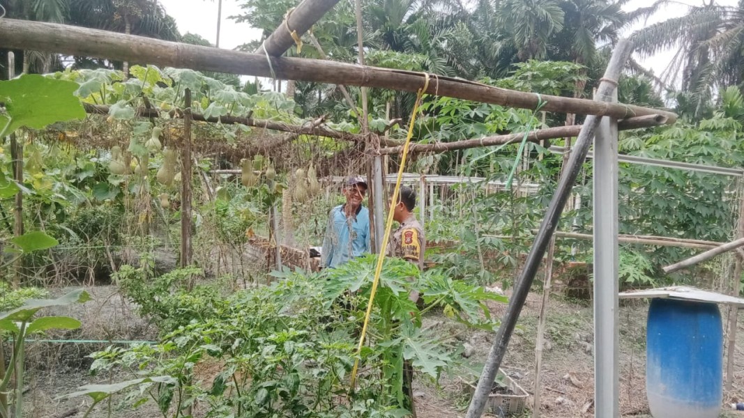 Tanaman Pare Jadi Upaya Warga Desa Beligan Wujudkan Ketahanan Pangan