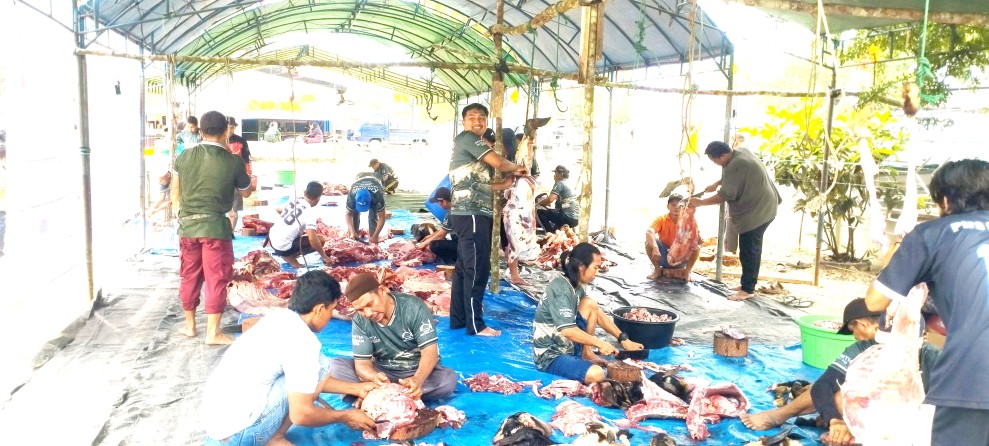 Semangat Gotong Royong Warnai Pelaksanaan Kurban di Masjid Bustanul Fajri