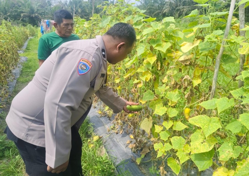 Polisi Turun ke Kebun, Ajak Warga Manfaatkan Pekarangan untuk Dukung Ketahanan Pangan Nasional